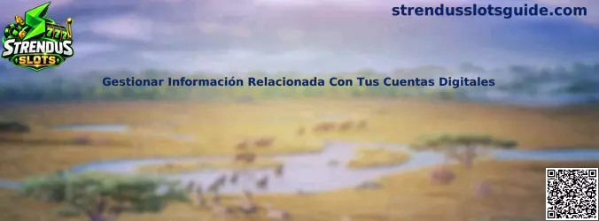 Guía para gestionar información relacionada con cuentas digitales y proteger accesos